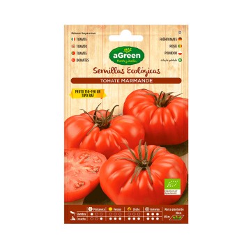 Sobre con semillas eco de tomate marmade raf agreen
