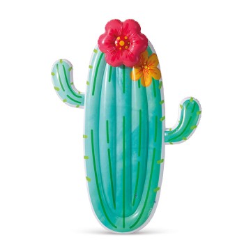 Infable piscina cactus